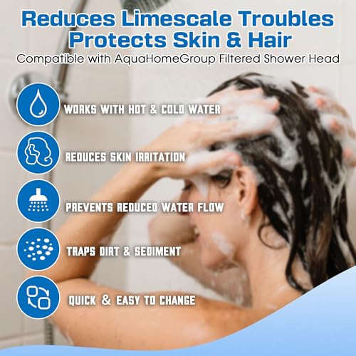 30PCS Filtered Sediment Pad for AquaHomeGroup Filtered Shower Head (30 Count)