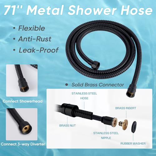 10'' Dual 20 Stage Filtered Shower Head with Handheld