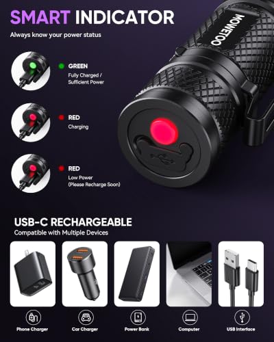 Black Light Flashlight (2 Count)