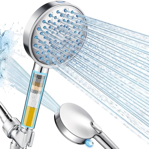 Filtered Shower Head with Handheld