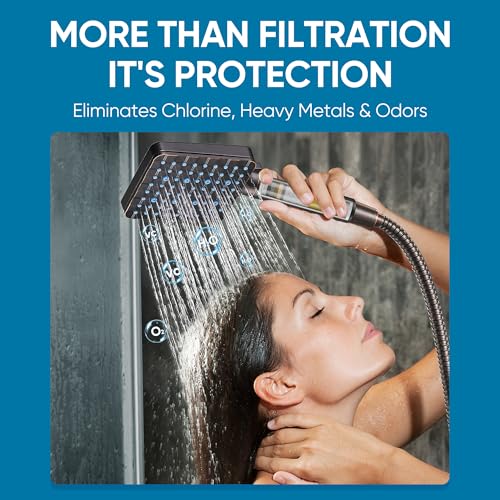 Filtered Shower Head with Handheld