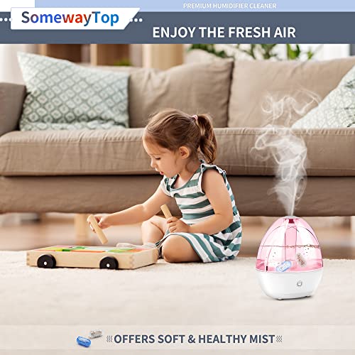 Humidifier Cleaner