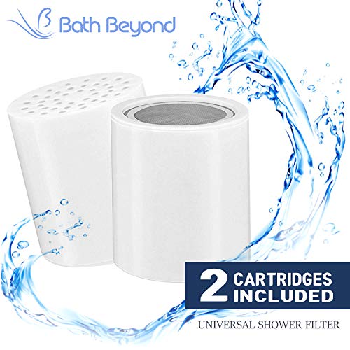 15 Stage Shower Filter Replacement Cartridge (2 Count)