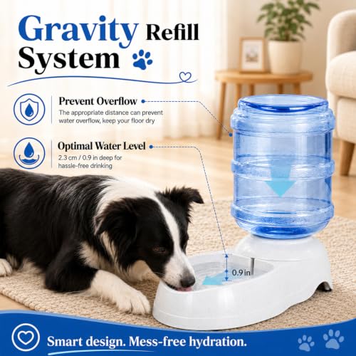 Pet Water Dispenser Station for Large Dogs and Cats