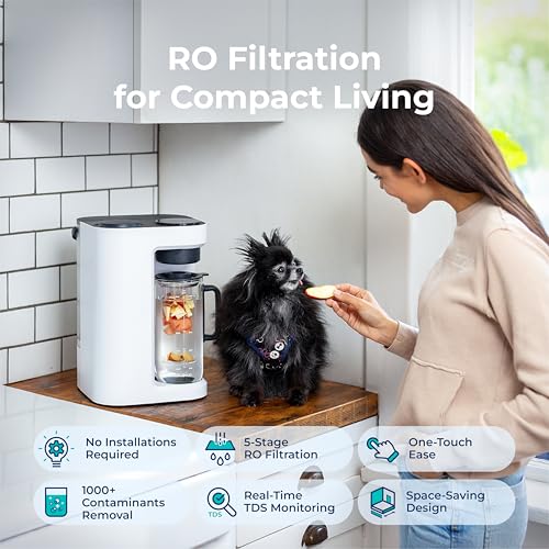 RO100ROPOT Lite Countertop Reverse Osmosis Water Filter