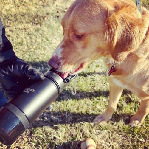Stainless Steel Dog Travel Water Bottle (4 Fl Oz)