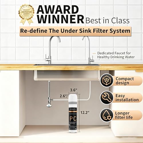 Under Sink Water Filter System with Chrome Faucet