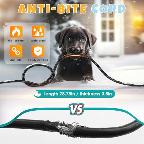 Pet Heated Bowl