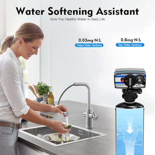 5600SM Digital Water Softener Control Valve