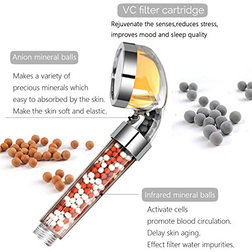 Vitamin C Shower Head with Handheld