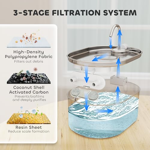Cat Water Fountain