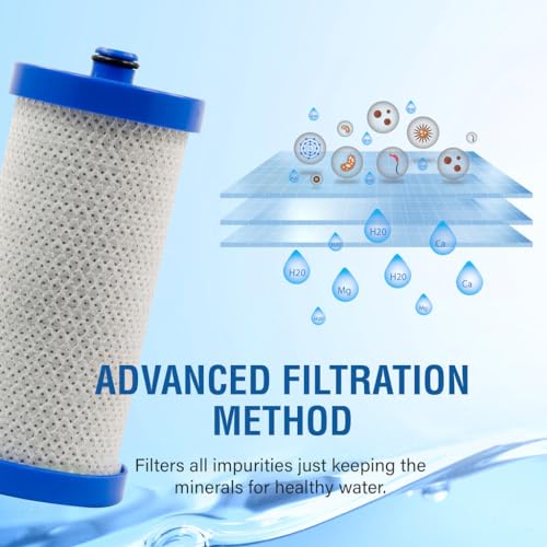 SGF WF1CB Compatible Refrigerator Water Filter for WFCB