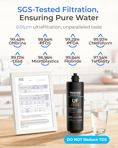 RF10 UF Water Filter Replacement for WD (2 Count)
