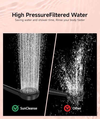 Filtered Shower Head with Handheld