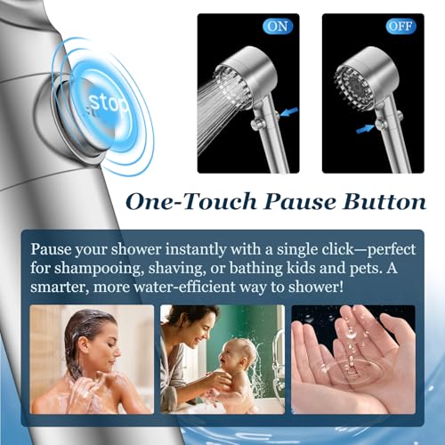 Filtered Shower Head with Handheld