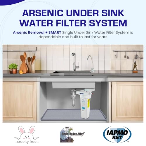 Single Under Sink Arsenic Water Filter