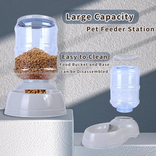 Automatic Dog Feeders