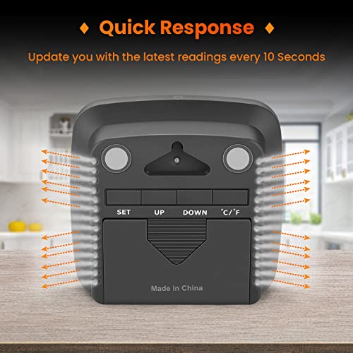 SC42 Professional Digital Hygrometer Indoor Room Thermometer