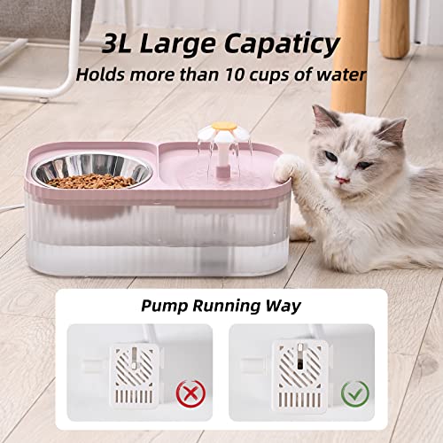 Cat Water Fountain and Food Bowl
