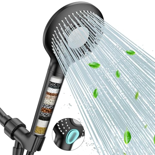 Filtered Shower Head with Handheld