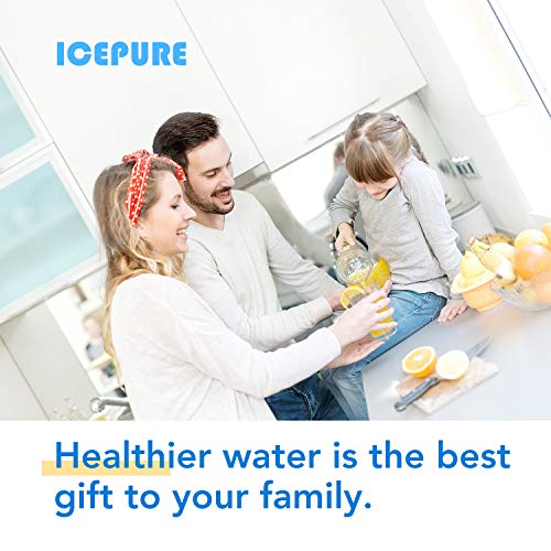 CS 52 Water Filter