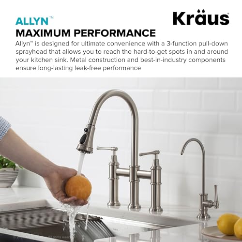 Allyn Transitional Bridge Kitchen Faucet with Pull