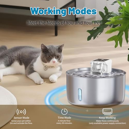 Wireless Dog Water Fountain (230 Ounce)