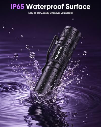 Black Light Flashlight (2 Count)