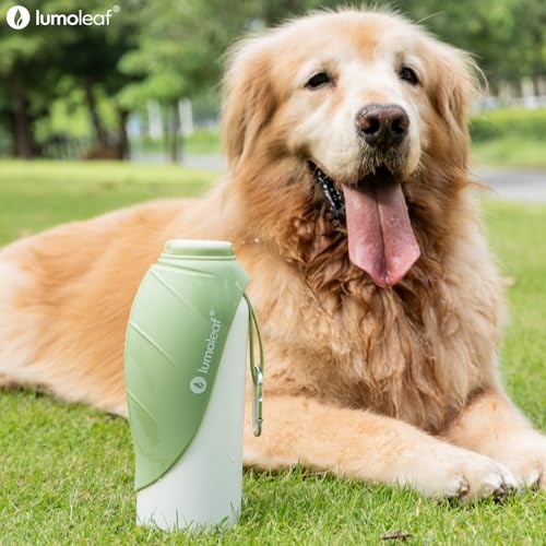 Insulated Dog Water Bottle 27 oz Stainless Steel