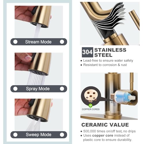 Brushed Gold Kitchen Faucet With Sprayer
