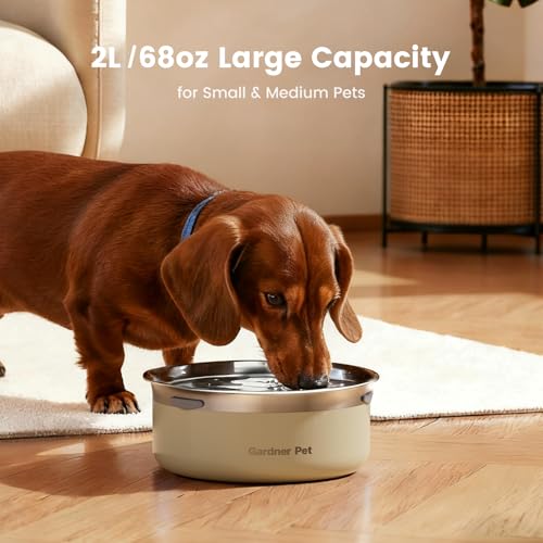 Slow Water Bowl for Dogs