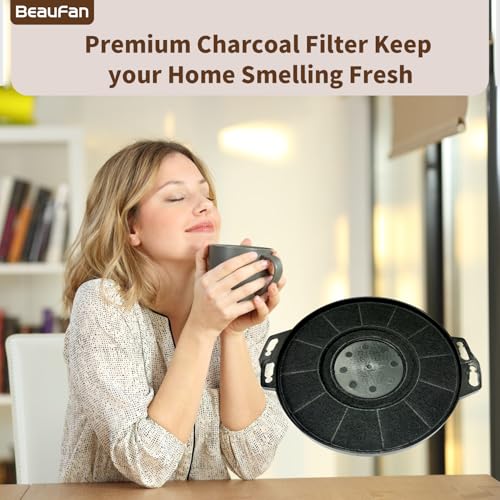 2 Pack CACF006 Charcoal Filters Replacement for CIARRA Range Hood Models CAS75918B (2 Count)