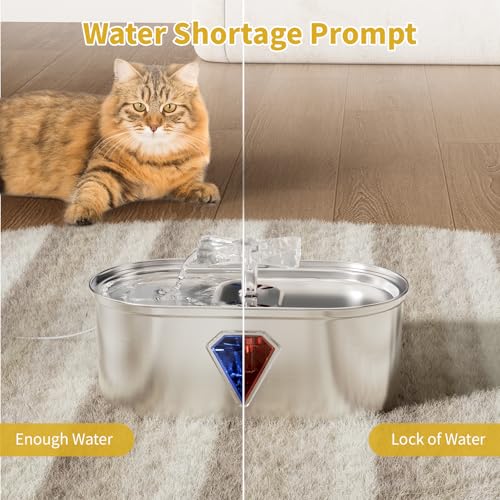 Cat Water Fountain