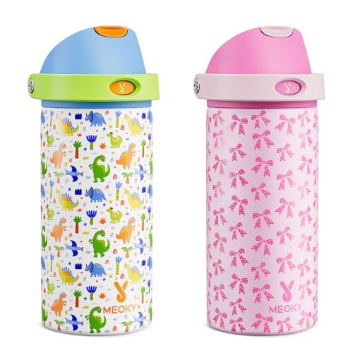 2 Pack 18 oz Insulated Stainledss Steel Water Bottles for Boys Girls (2 Count)