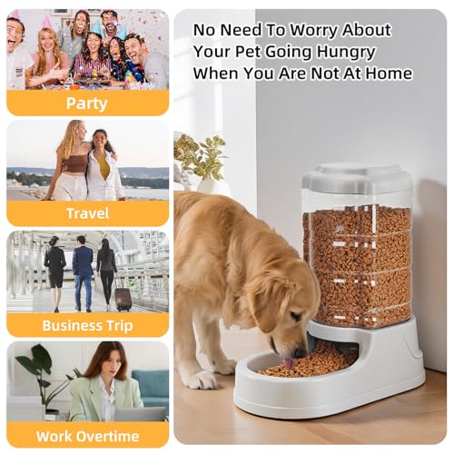 9.5L Gravity Large Dog Feeder
