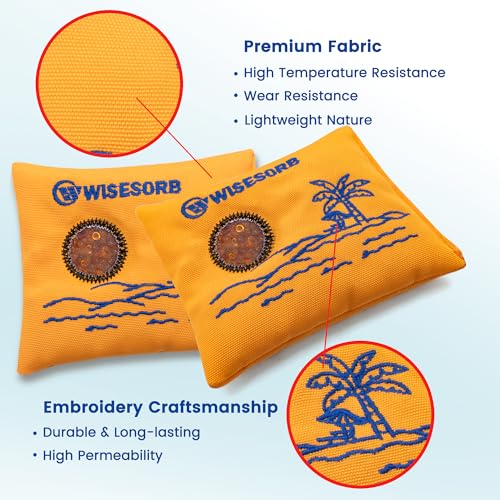 100g x 5 Pack Reusable Desiccant Packs for Storage (5 Count)