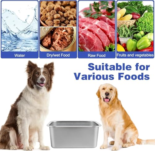 4 Gallon Large Dog Water Bowl