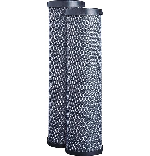 FXWTC Whole House Water Filter (2 Count)