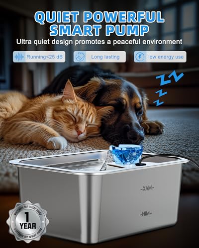 Dog Water Fountain