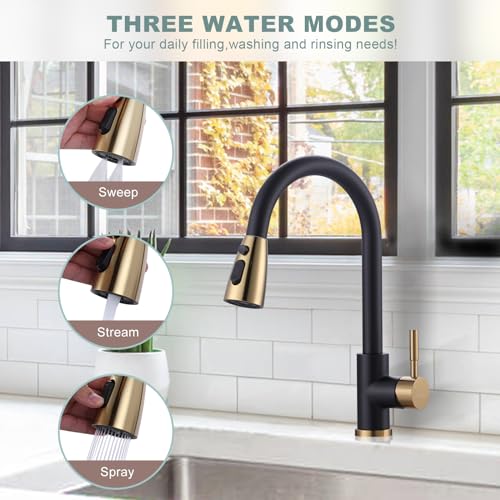 Black and Gold Kitchen Faucet with Sprayer