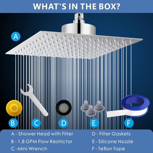 Rain Shower Head with Filtered