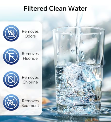 RV Water Filter 2 Pack (2 Count)