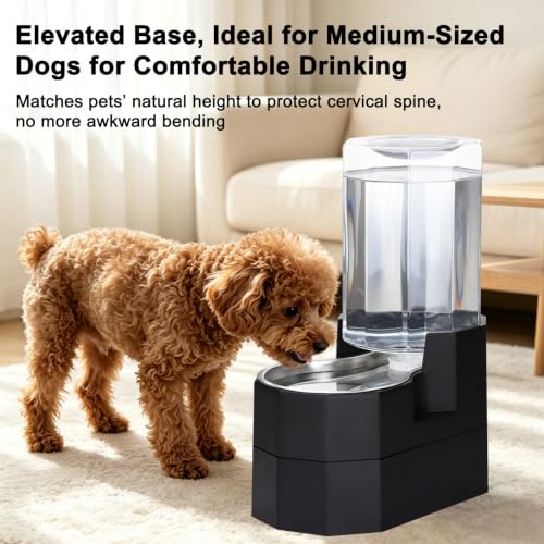 7L Raised Dog Water Dispenser