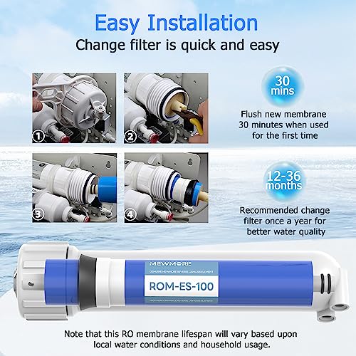 100 GPD RO Membrane Filter with Housing
