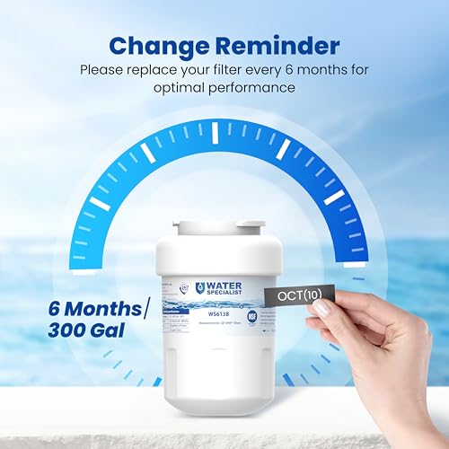 WS613B Water Filter (3 Count)