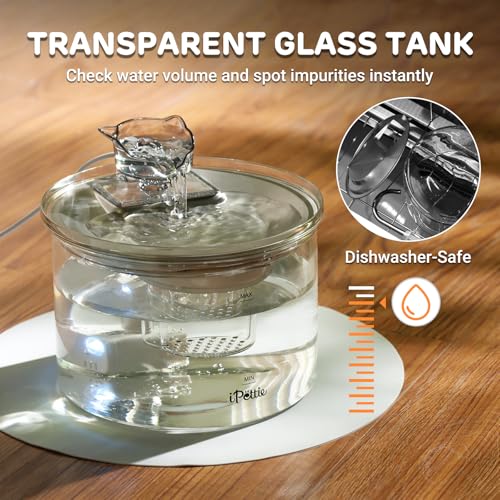 Glass Cat Water Fountain