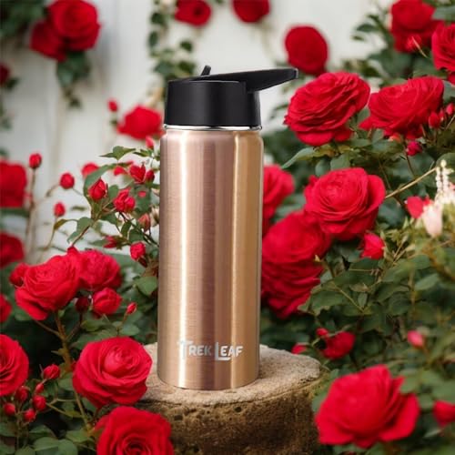Travel Water Bottle with 3 Lids