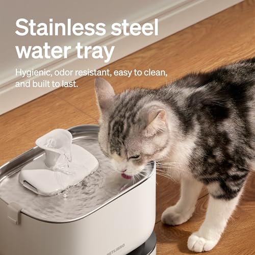 Cat Water Fountain