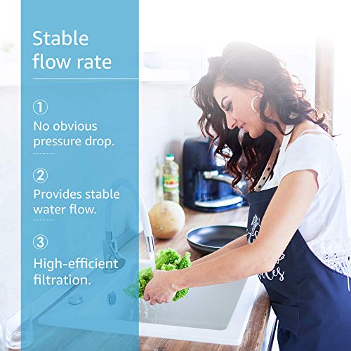 RC EZ 1 Water Filter Replacement for Culligan® RC (2 Count)