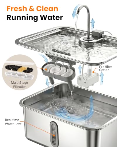 4.75Gal 18L Large Dog Water Fountain Elevated Dog Water Bowl & 3 Filters